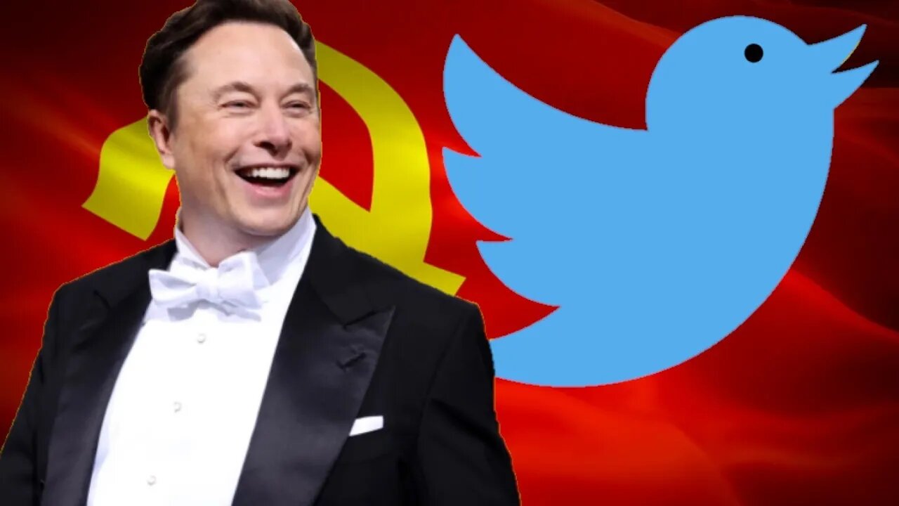 Elon Musk BACKTRACKS on Unbanning People on Twitter