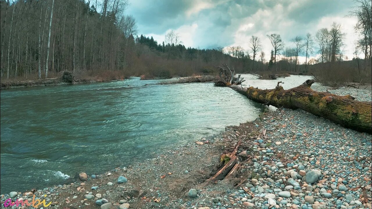 River Run 🌊 Rapid Water Ambience (Deep Sleep)