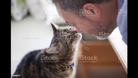 Cat Kissing Owner 😘😍