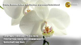 PERFEKTION ODER VOLLKOMMENHEIT? - Botschaft von Gott ~ LWV
