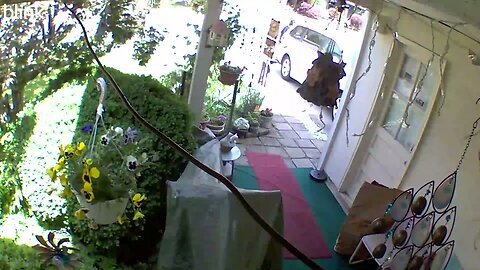 NORTH_VIDEO_DOOR_BELL_2023-05-16T11_48_07-0400.mp4