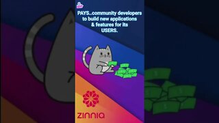 Welcome to Zinnia Network