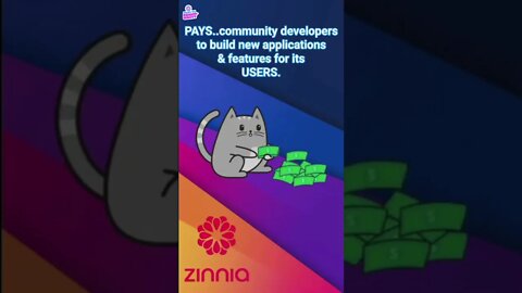 Welcome to Zinnia Network