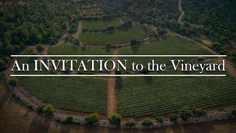 Biblical Insights 17: An Invitation to the Vineyard