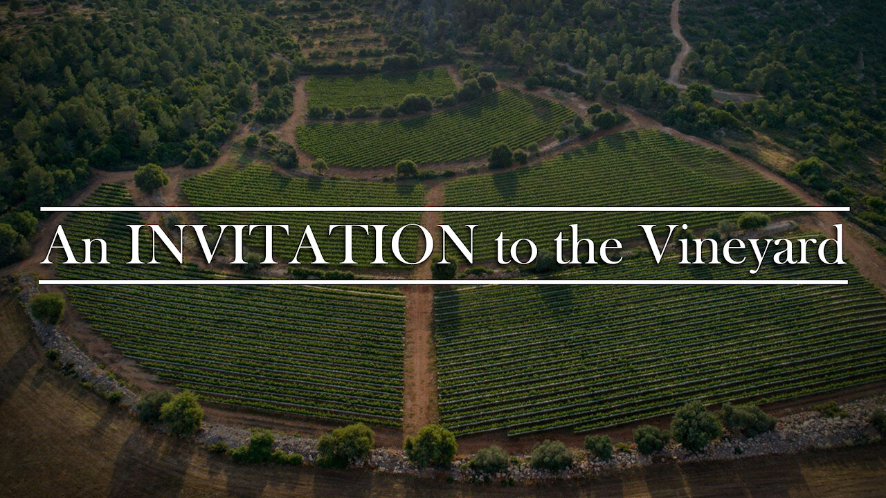 Biblical Insights 17: An Invitation to the Vineyard