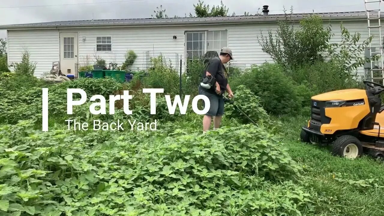 Cleaning Up - Part Two
