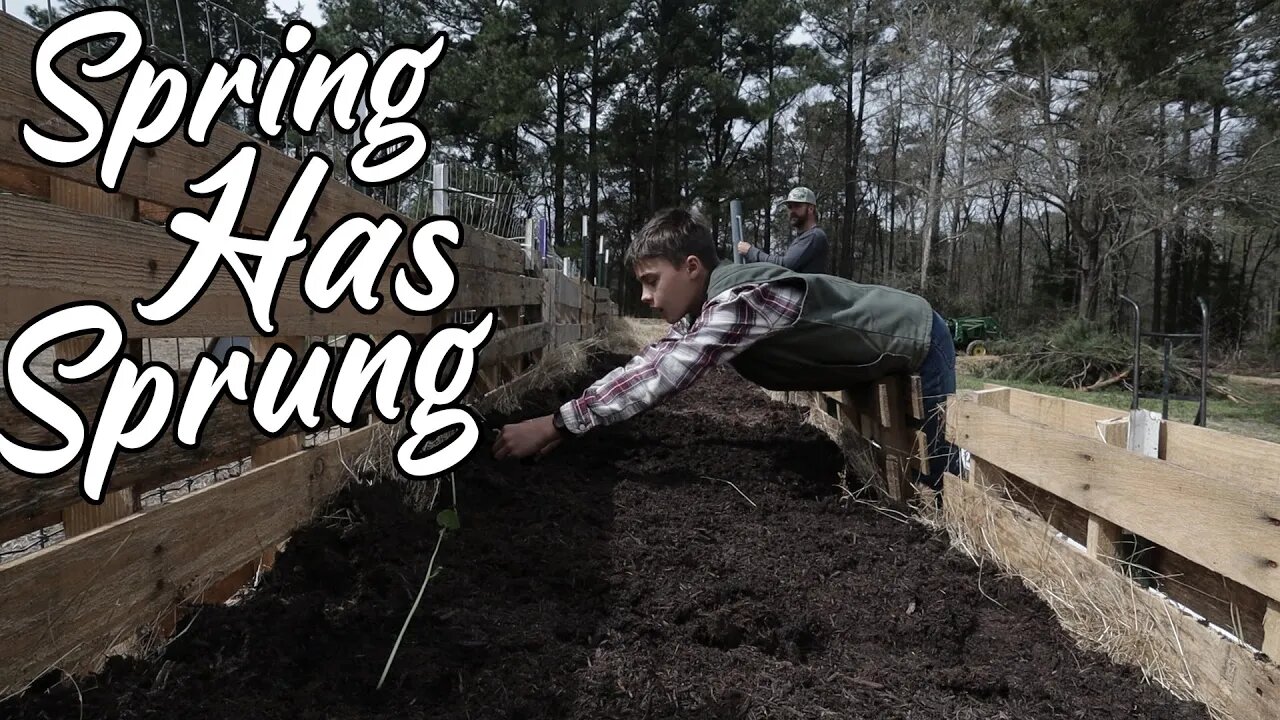 SPRING HAS SPRUNG/ Planting Over 300 Plants In our Garden/ Family Life Vlog!