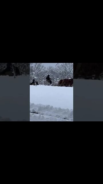 Amish Snowplow