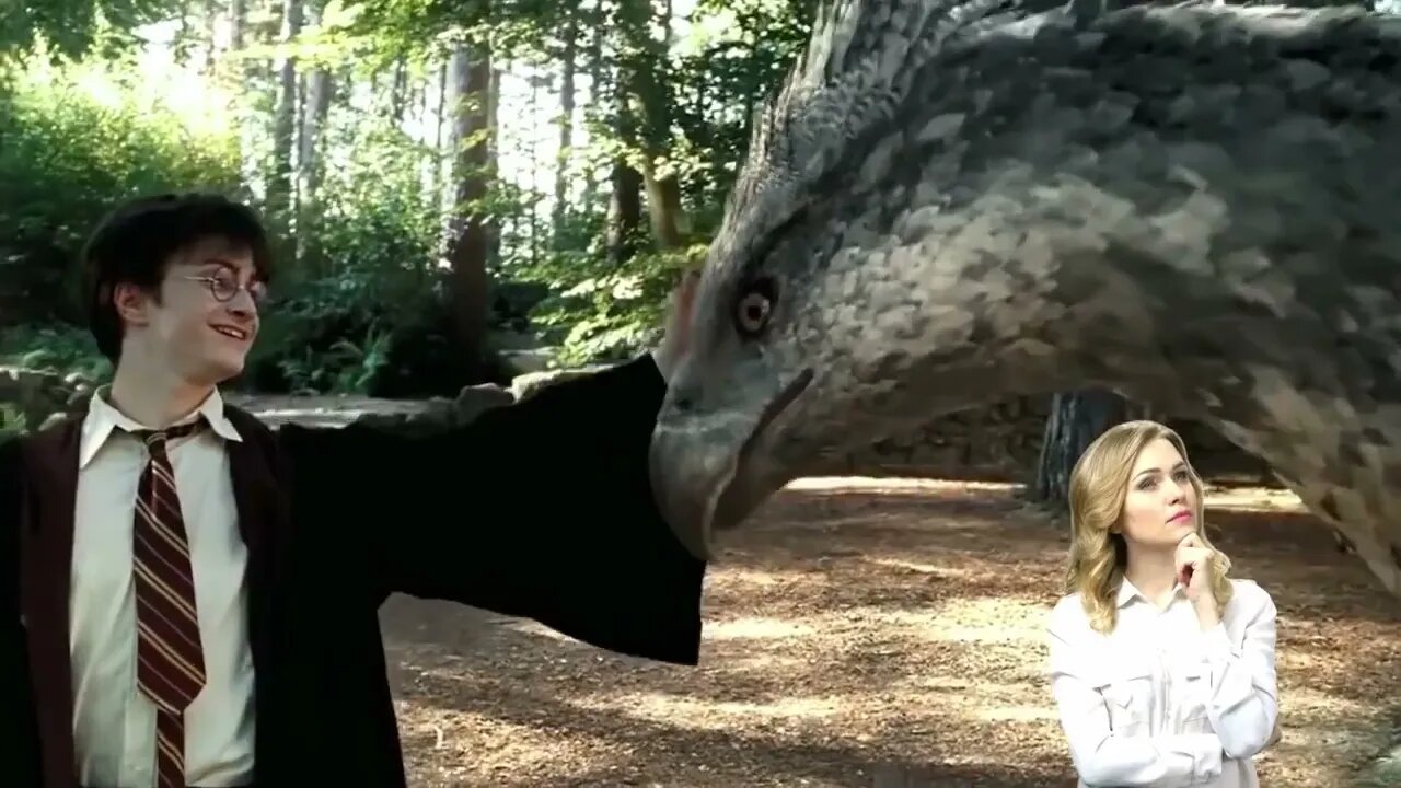 10 Most Expensive Birds in the World