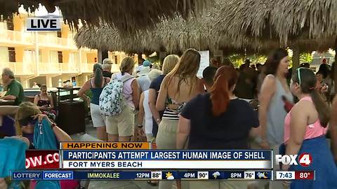 National Sea Shell Day on Fort Myers Beach