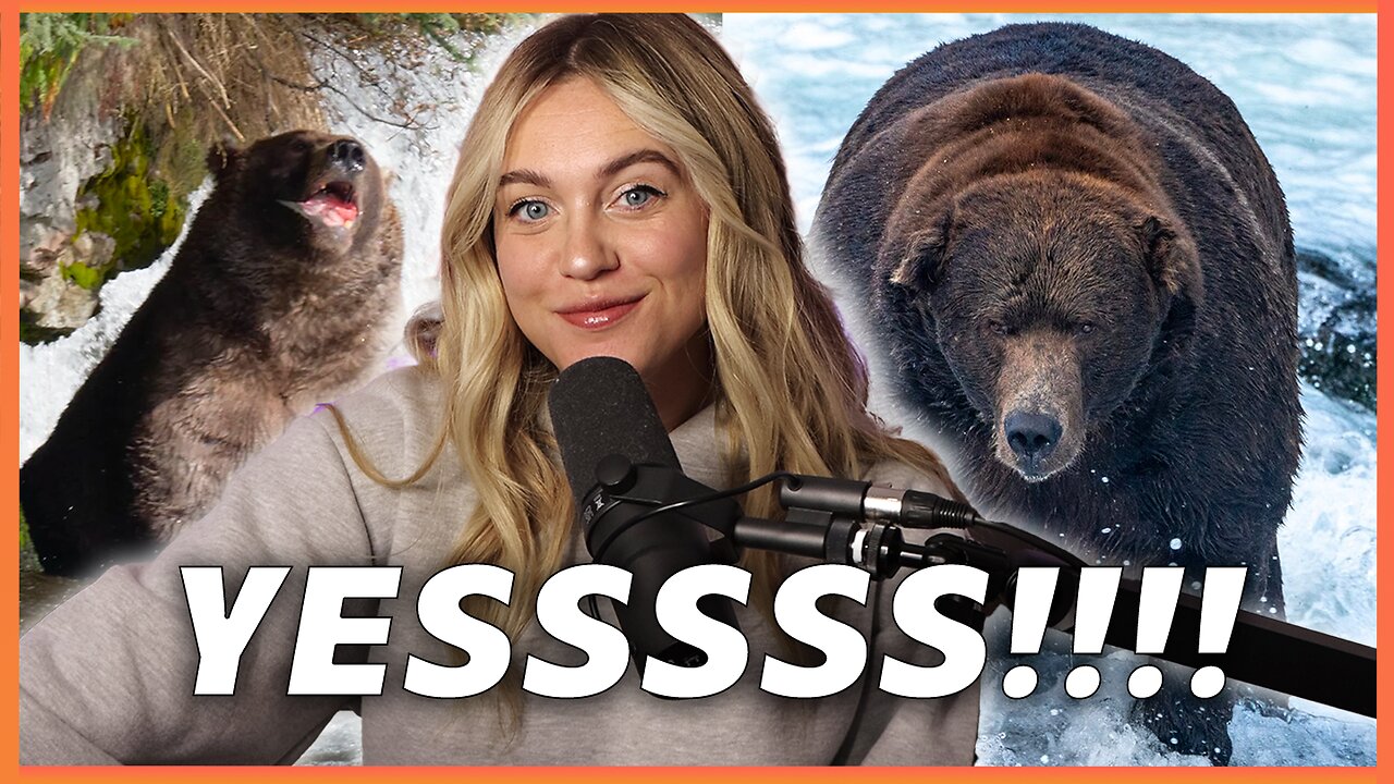 It's FAT BEAR WEEK, EVERYBODY!! Time For Some Happy News | Isabel Brown LIVE