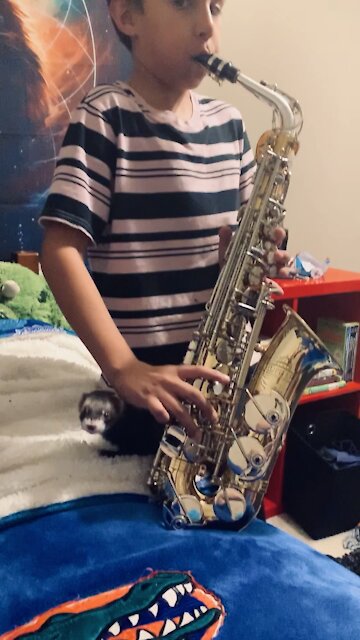 Play Sax with his Ferret
