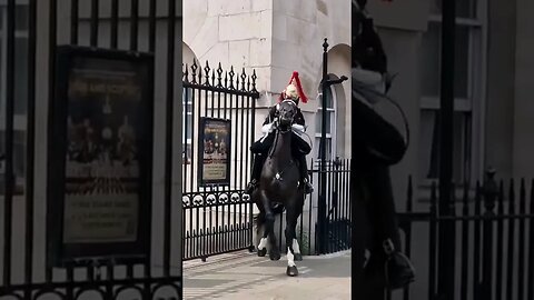 Pro abortion rally scares the kings guards horse #horseguardsparade