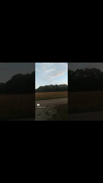 A New Fall Day #shorts #fall #morning