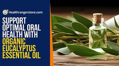 Support optimal oral health with Organic Eucalyptus Essential Oil