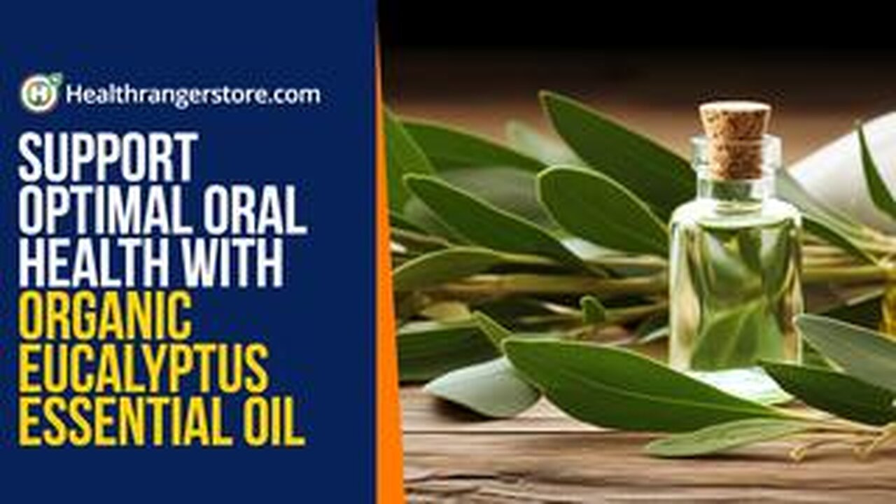 Support optimal oral health with Organic Eucalyptus Essential Oil