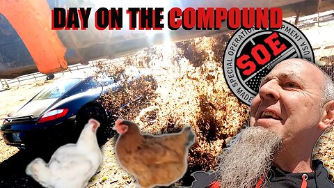 Hundreds of beating hearts to take care of. D.O.C 180 #farmlife #chickens #porsche #rangerover
