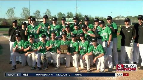 Skutt baseball wins district title