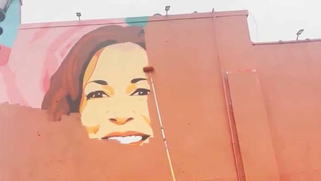 Harris & Walls: Painters De-Face Building After Kamala's Humiliating Loss To Trump