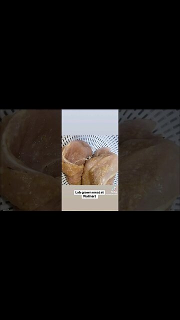 Lab Grown Meat