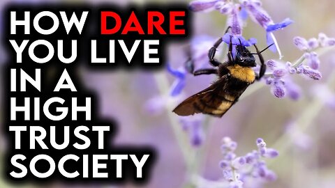 How Dare You Live In a High Trust Society