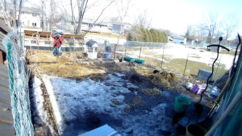 Throwback to springtime, thawing out the garden with the rabbits