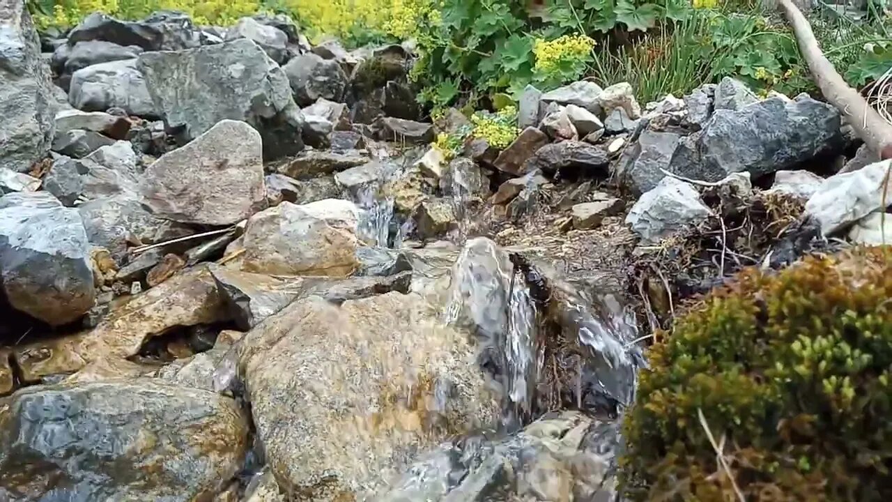 Yaylanın Eşsiz Güzelliklerinden Manzaralar 6