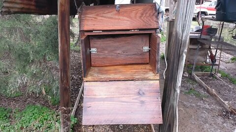 Raising Rabbits, Cleaning House/Nesting Box