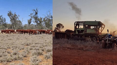 Mustering Cattle, fencing and bulldozer fan replacement