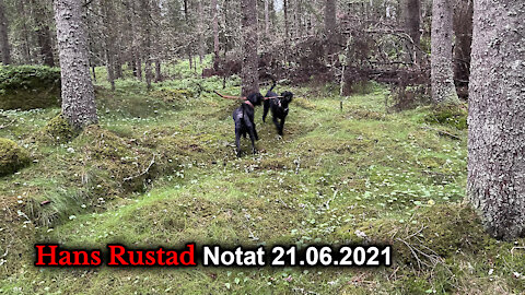 Skogpod 21. juni: Språklige tryllekunstner