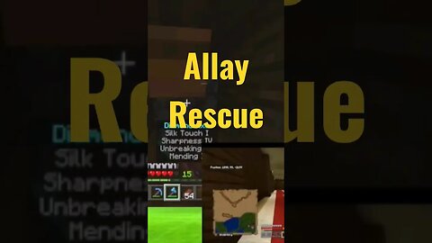 The Allay Rescue! #minecraft #MiM #SMP