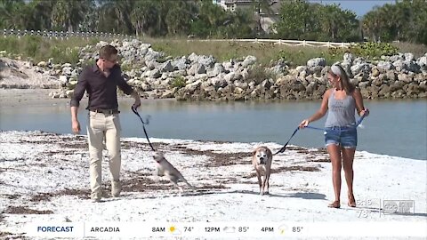 Apollo Beach Nature Preserve is fun for the whole family