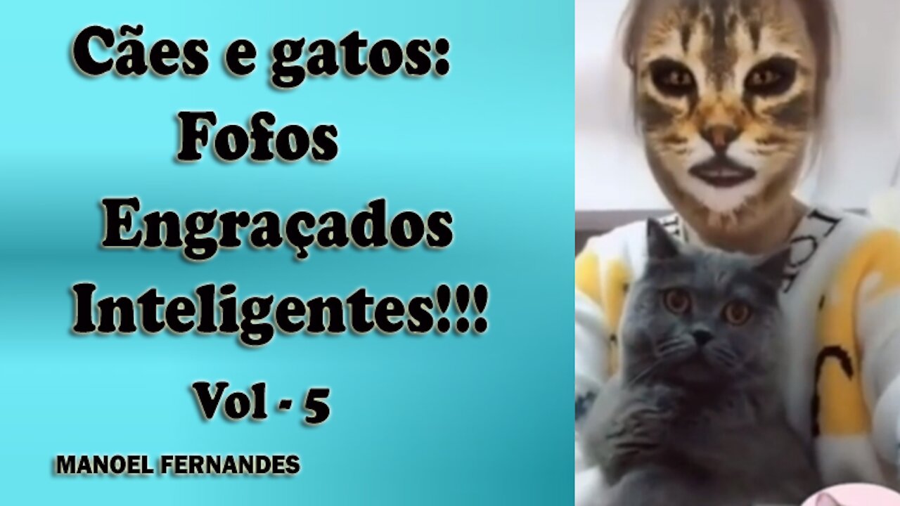 Cães e gatos: Fofos, engraçados e inteligentes!!! vol - 5