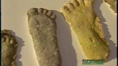 Sightings: Bigfoot in Ohio (9/16/95)