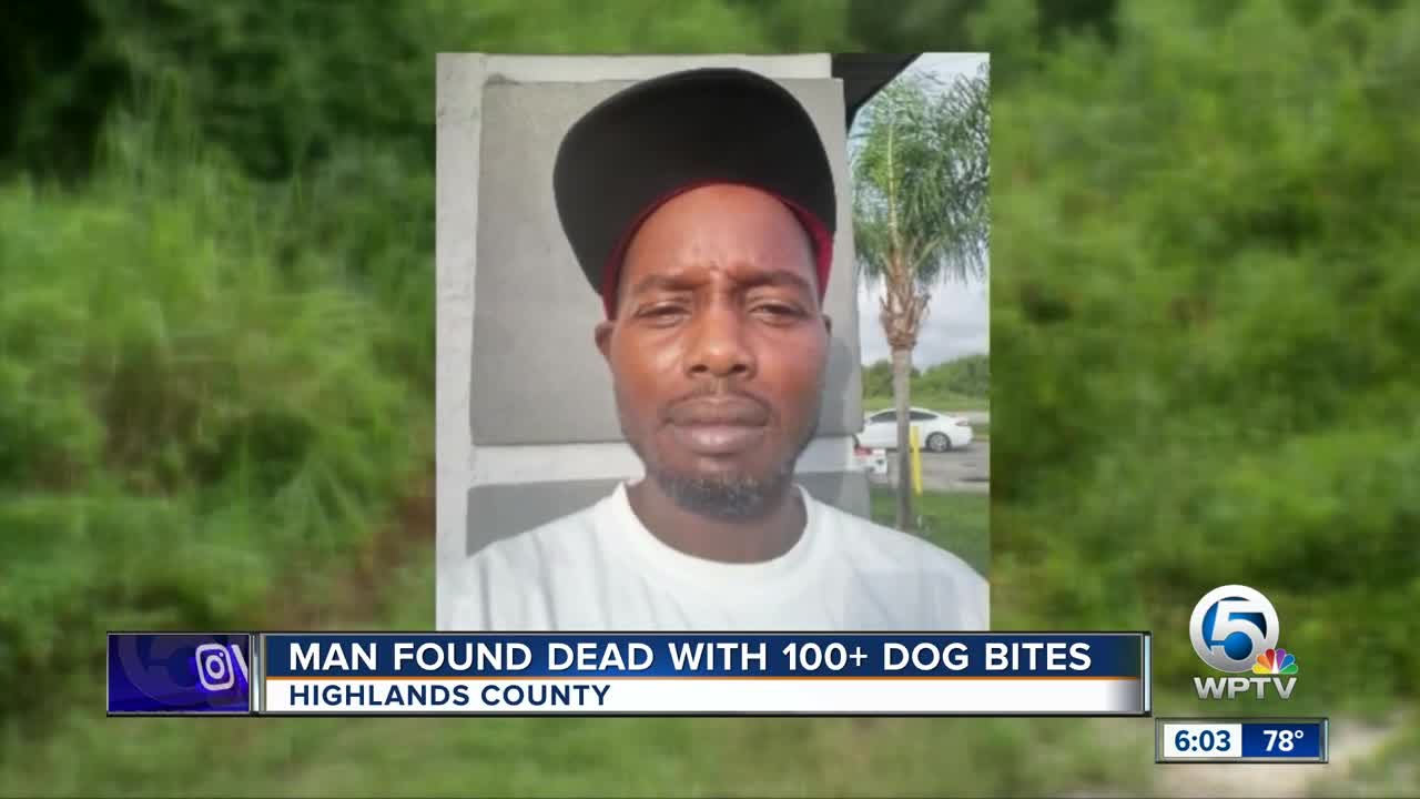 Man mauled to death by pack of dogs in Central Florida