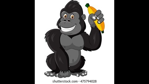 "Gorilla" , animals for Kids