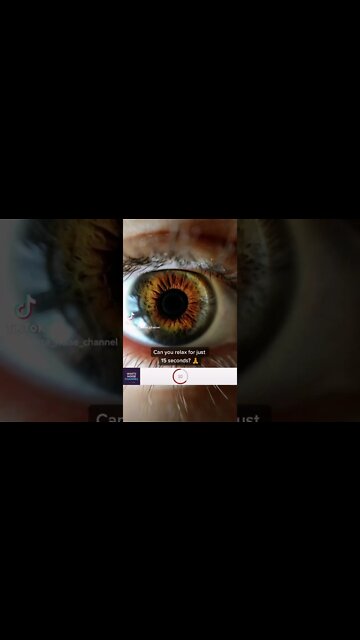 CHALLENGE: Try to relax for 15 seconds 🧘#shorts