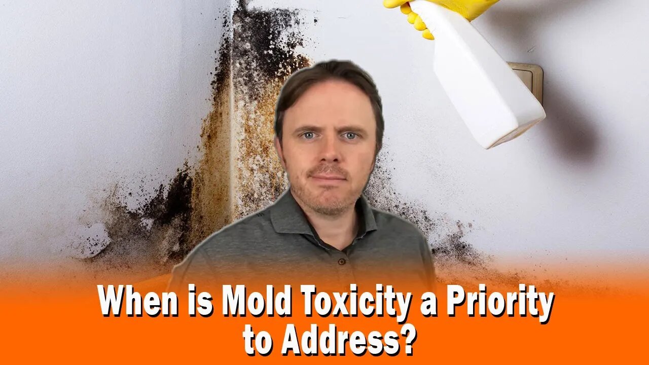 When is Mold Toxicity a Priority to Address?