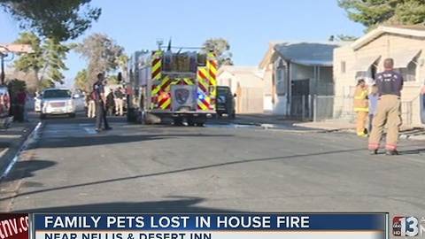5 dogs dead after mobile home fire