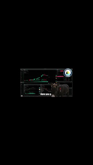 AmericanDreamTrading +$3,900 Profit - VIP Member Stock Market Trading Success