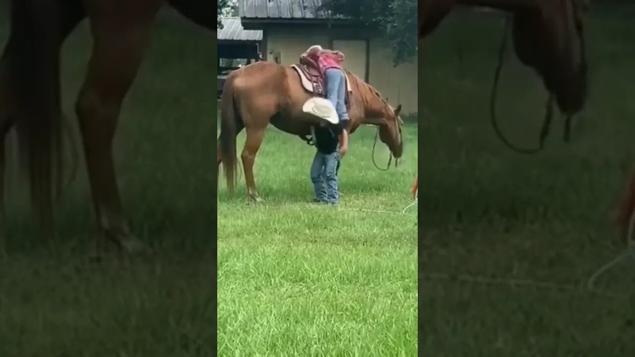 What a sweet gentle horse, to be so patient with these young cowboys❤❤ #shorts #cowboys #kids #horse