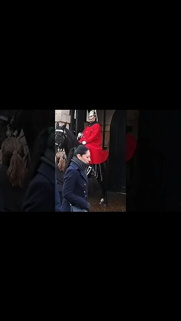 nodding the Horse #horseguardsparade