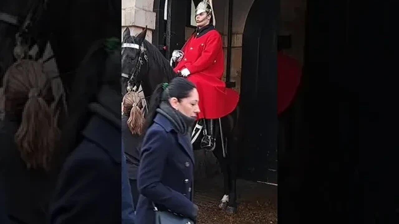 nodding the Horse #horseguardsparade