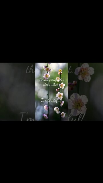 I'm Grateful!