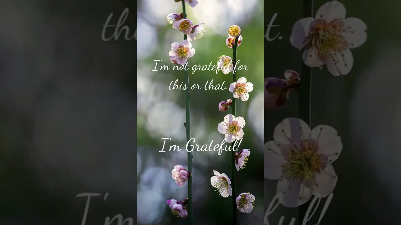 I'm Grateful!