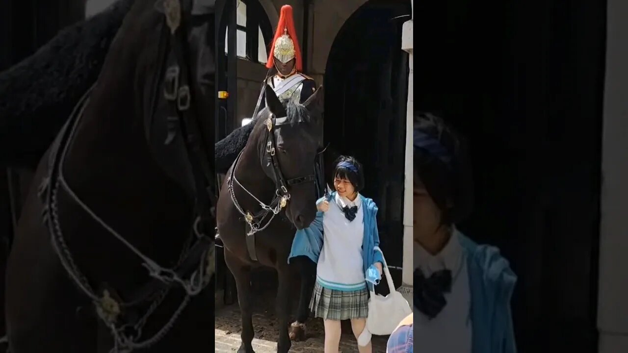 Horse pull the coat #horseguardsparade