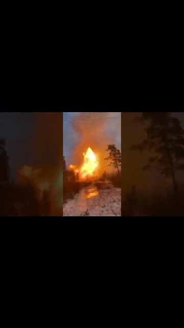 19 de novembro de 2022