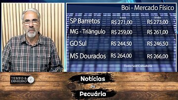 Notícias do Mercado da Pecuária com Sérgio Braga