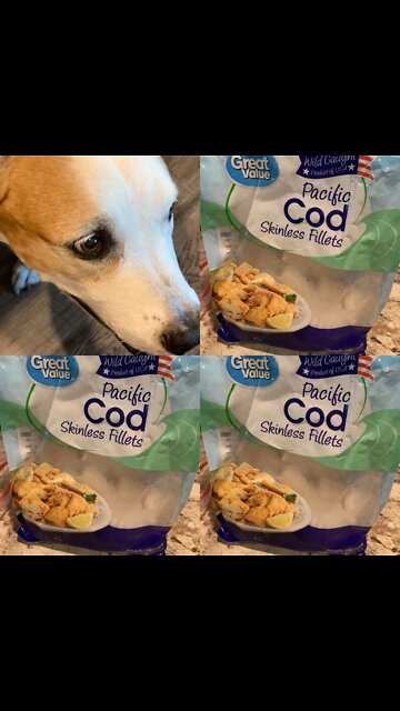 # Can Dogs Eat Cod Fish?