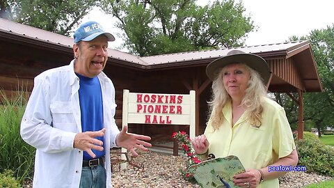 How Long do Peacock Feathers Last. Travel USA, Mr. Peacock & Friends, Hidden Treasures